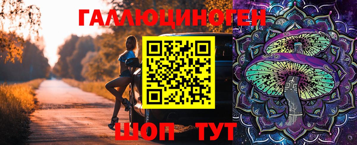 Ногинск  Псилоцибиновые грибы прущие грибы  Вход с VPN 