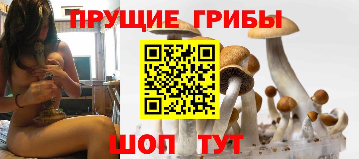 Псилоцибиновые грибы GOLDEN TEACHER Ногинск